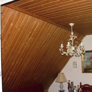 Deckenbekleidung PCP-haltig