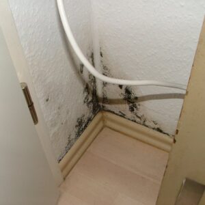 Schimmel in typischen Wärmebrücken