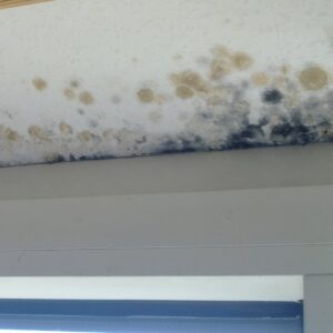 Schimmel an Fenstersturz