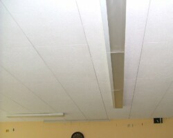 abgehängte Decke mit PCB-haltigem Anstrich (Wilhelmi)